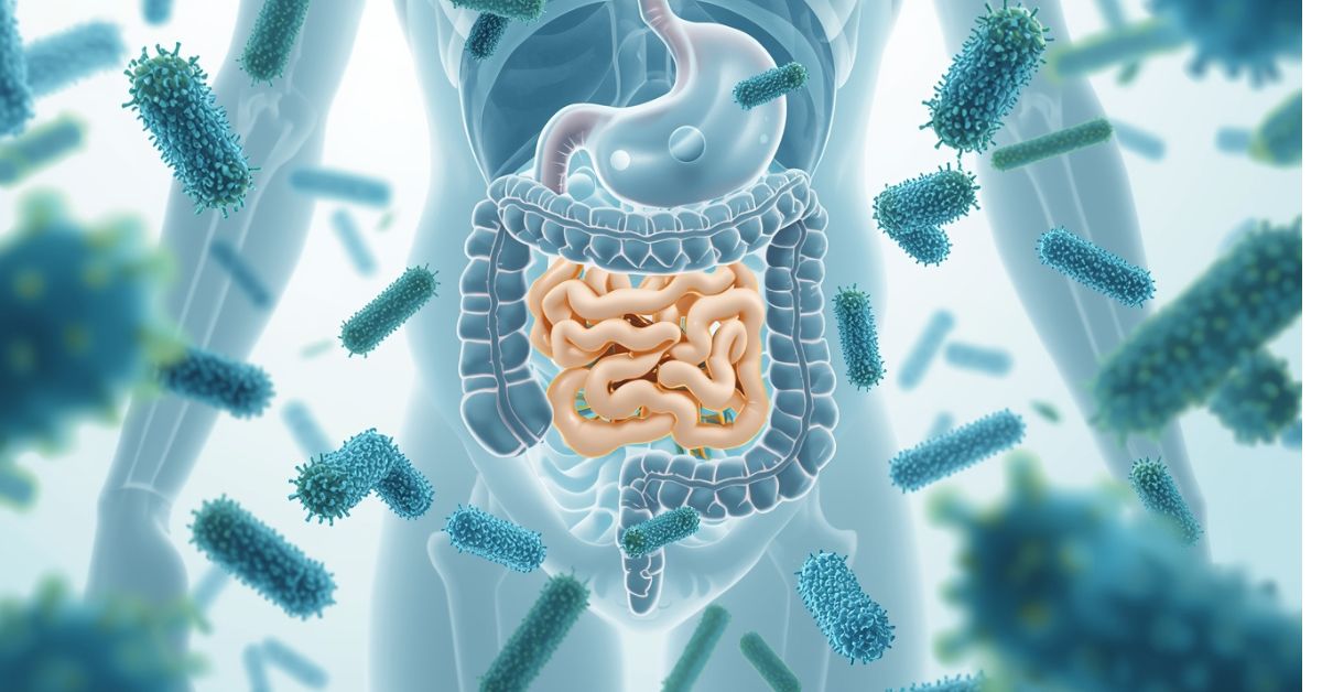 Gut Microbiota and Weight Loss: How Your Gut Affects Metabolism