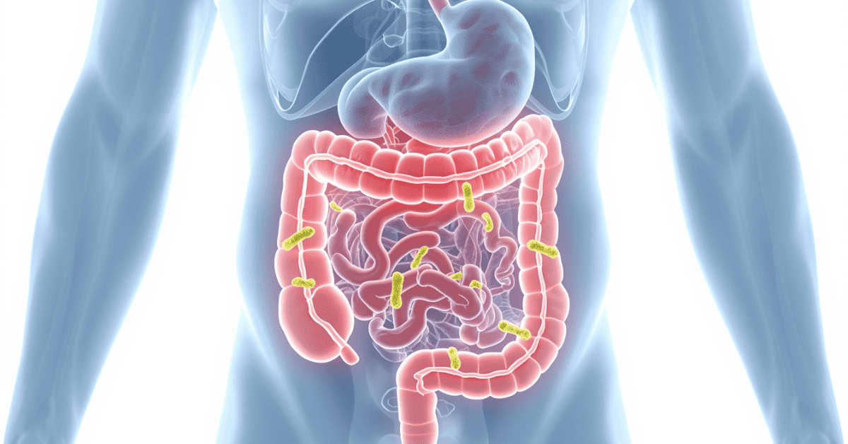 Gut Microbiome and Weight Regulation